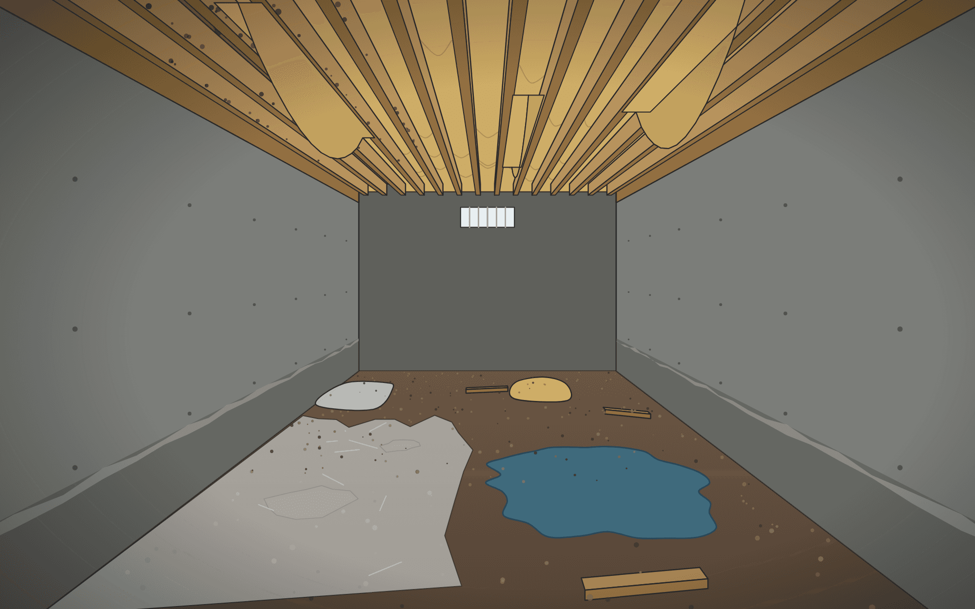 Before, illustrated: torn plastic, standing water, sagging insulation and mold on the joists